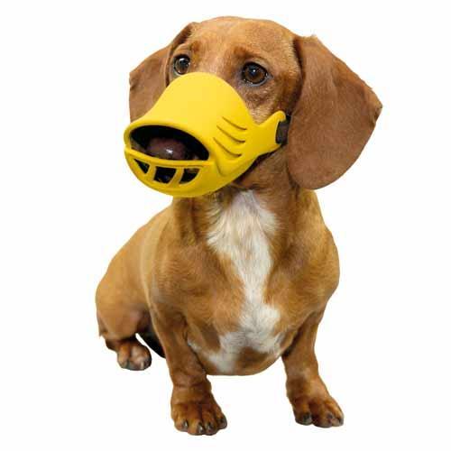 Dog Muzzle